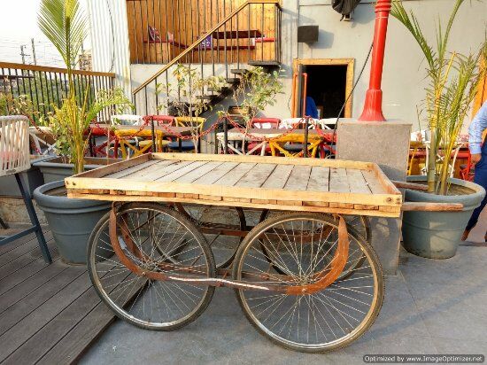 Lights Camera Action